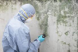 Best Basement Mold Removal  in Sparta, GA